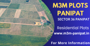 M3M Plots Panipat