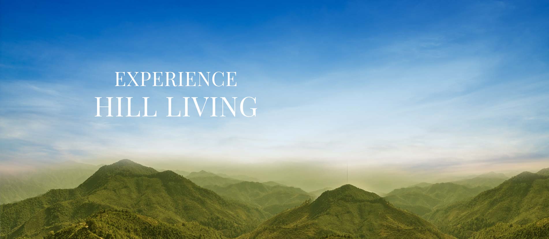 Luxury Residences